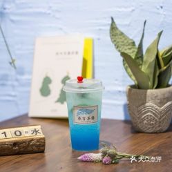 沈阳美食探店 | 花言茶语「蓝色恋人」饮品全测评 颜值与口味之争